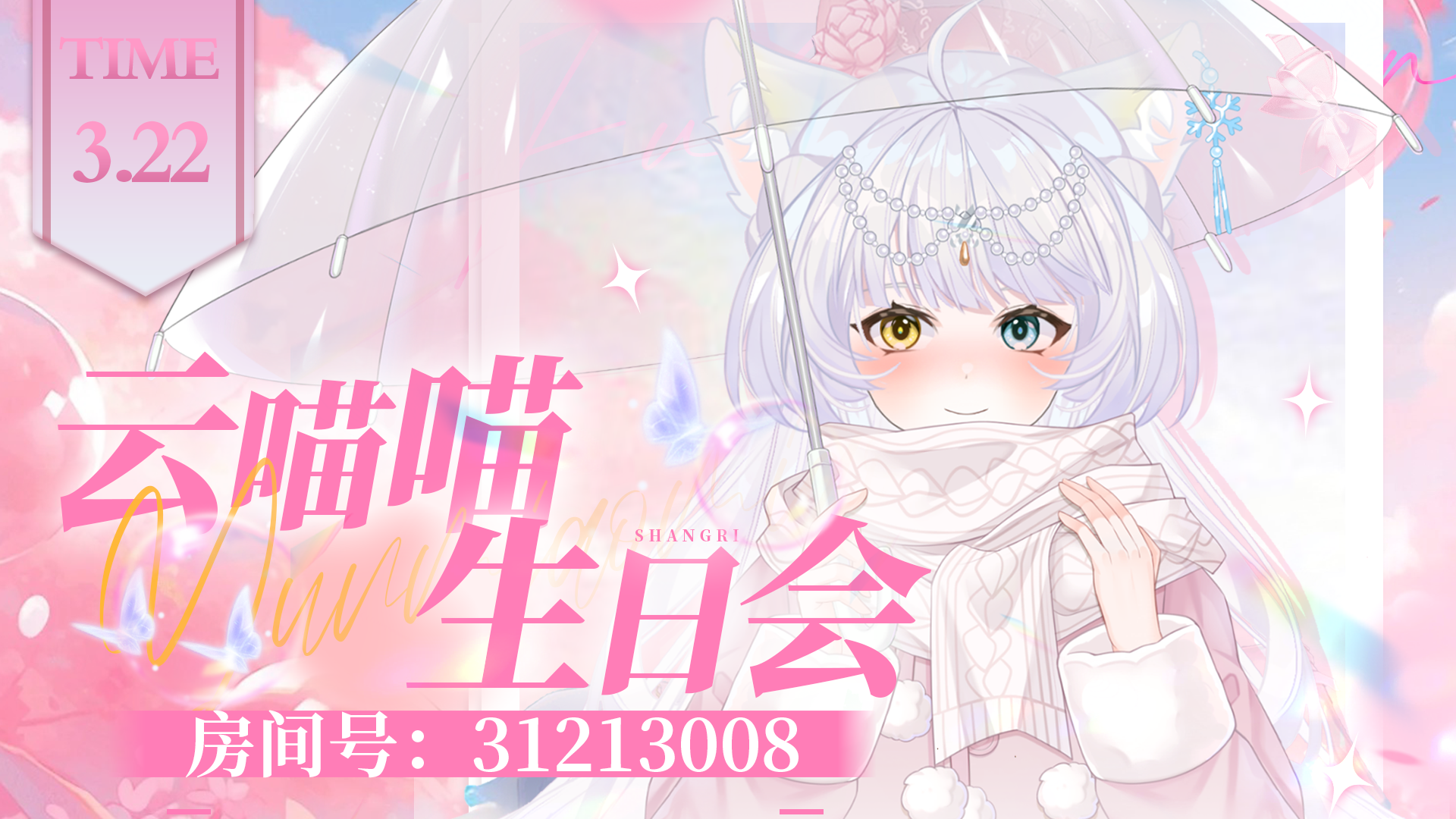 云喵一周岁