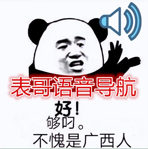 [导航]-广西表哥语音导航1.42~1.56x